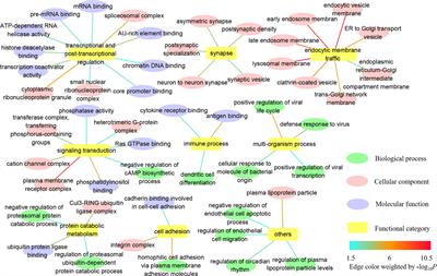 Shared Biological Pathways Between Alzheimer’s Disease and Ischemic Stroke